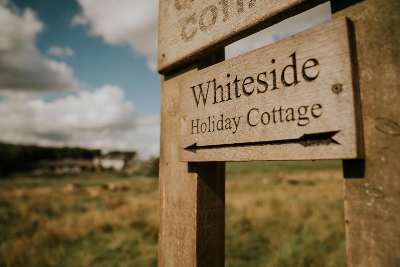 Vakantiehuis White Side *